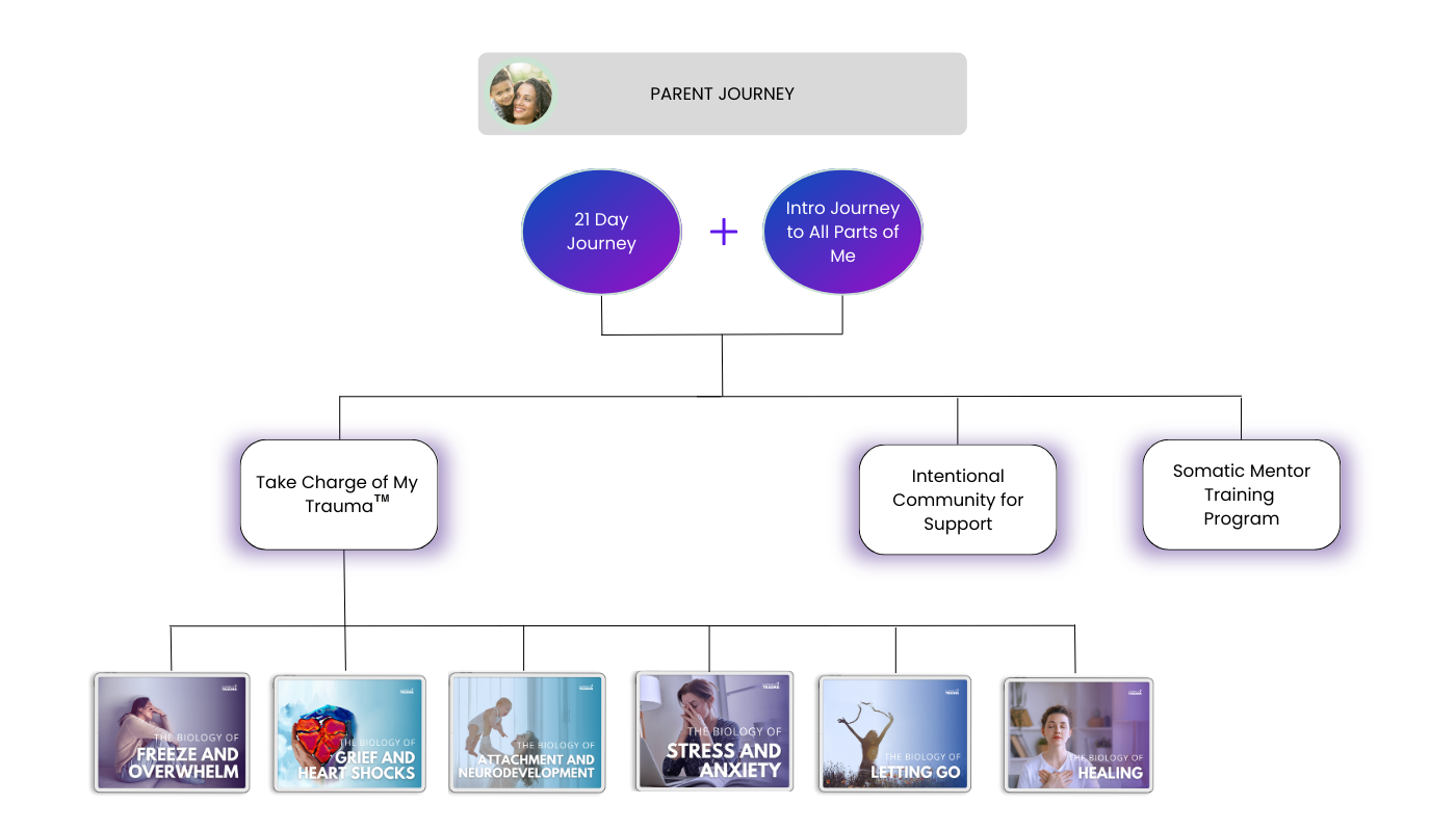 Parent Journey 2023 New